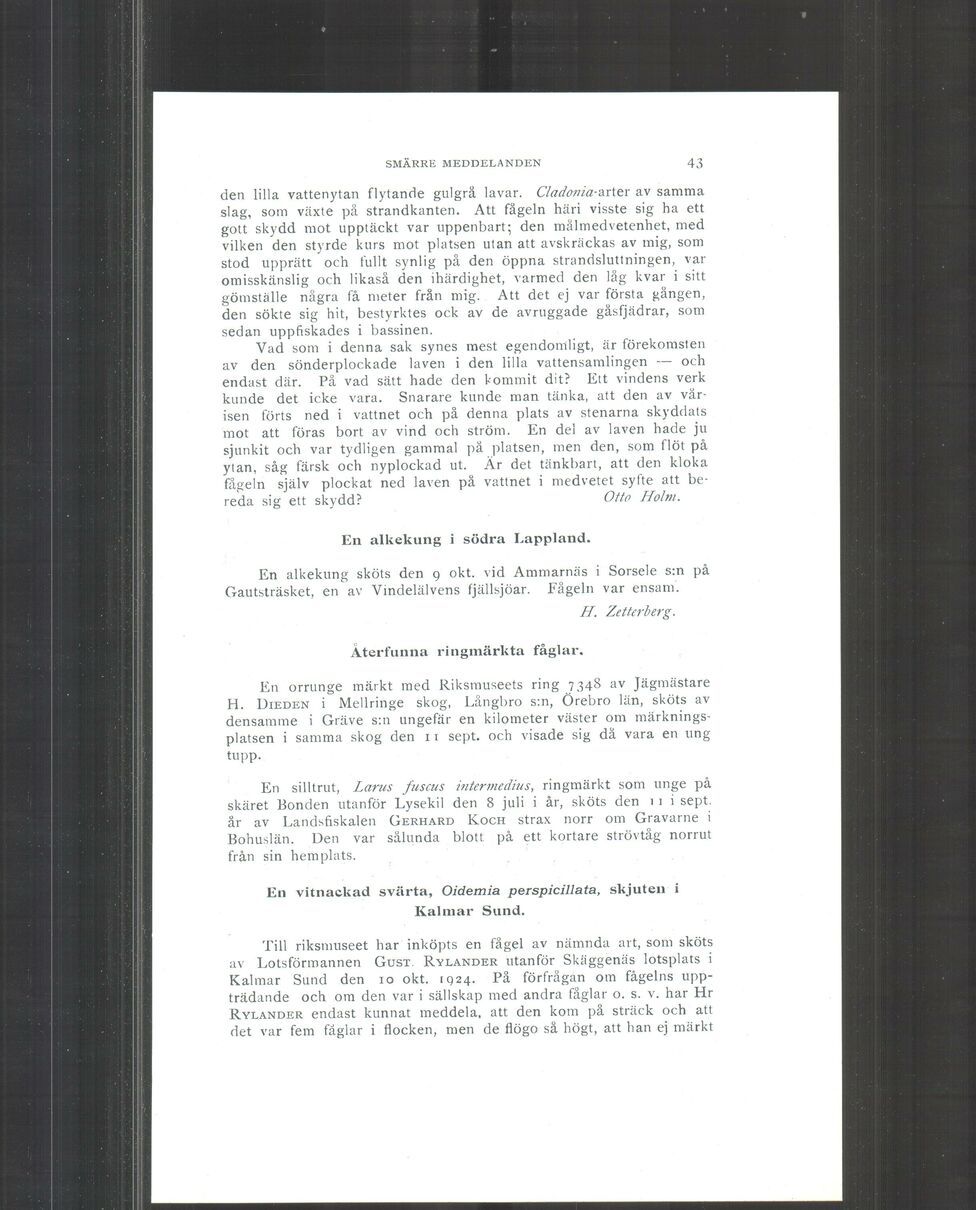 scanned image