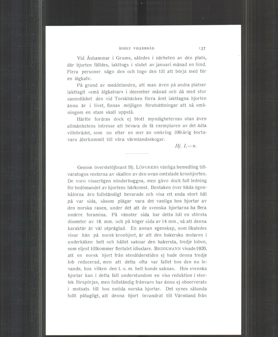 scanned image