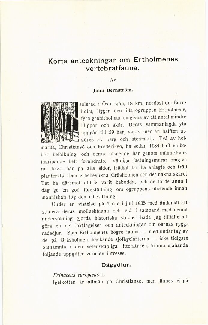 scanned image