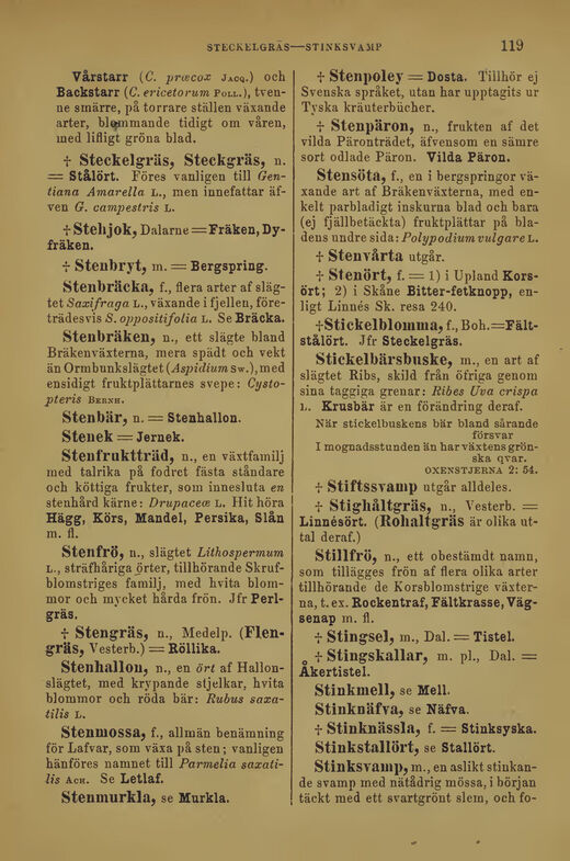 scanned image