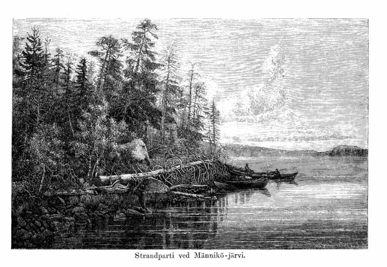 scanned image