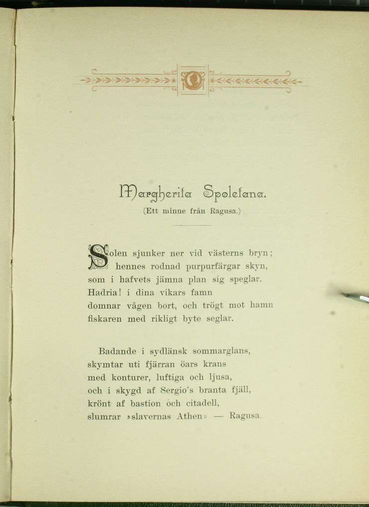 scanned image