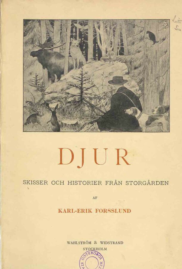 scanned image