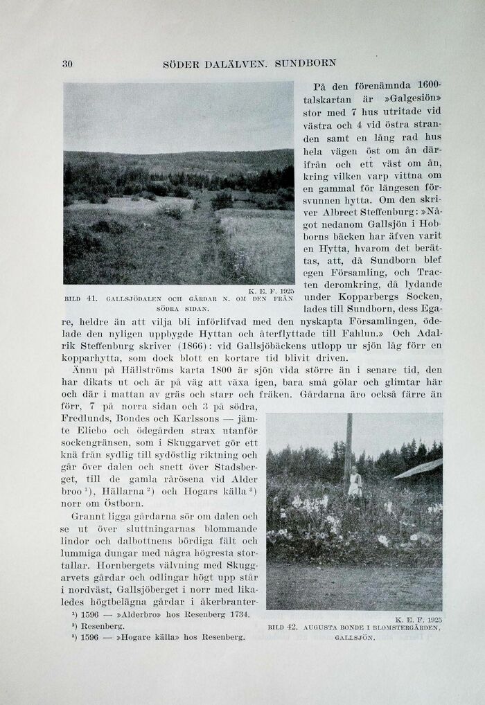 scanned image