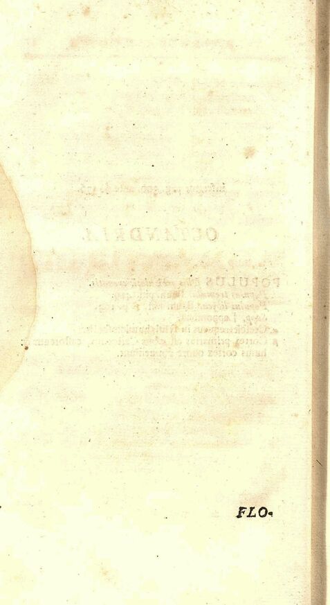 scanned image