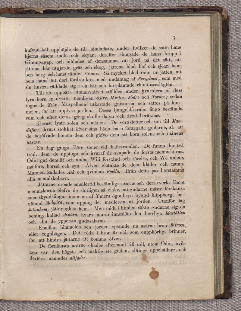 scanned image