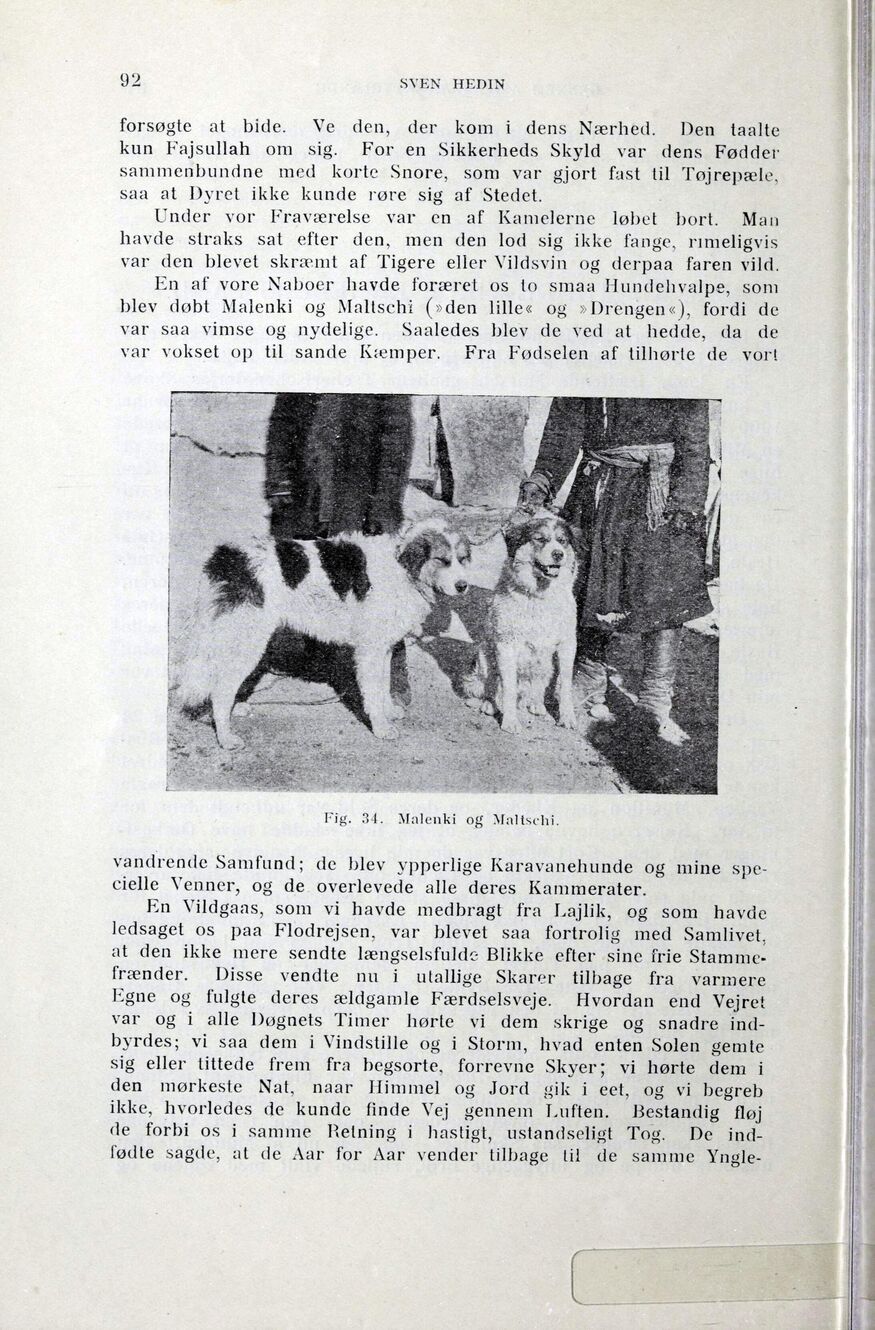 scanned image