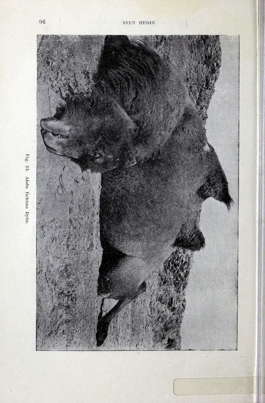 scanned image