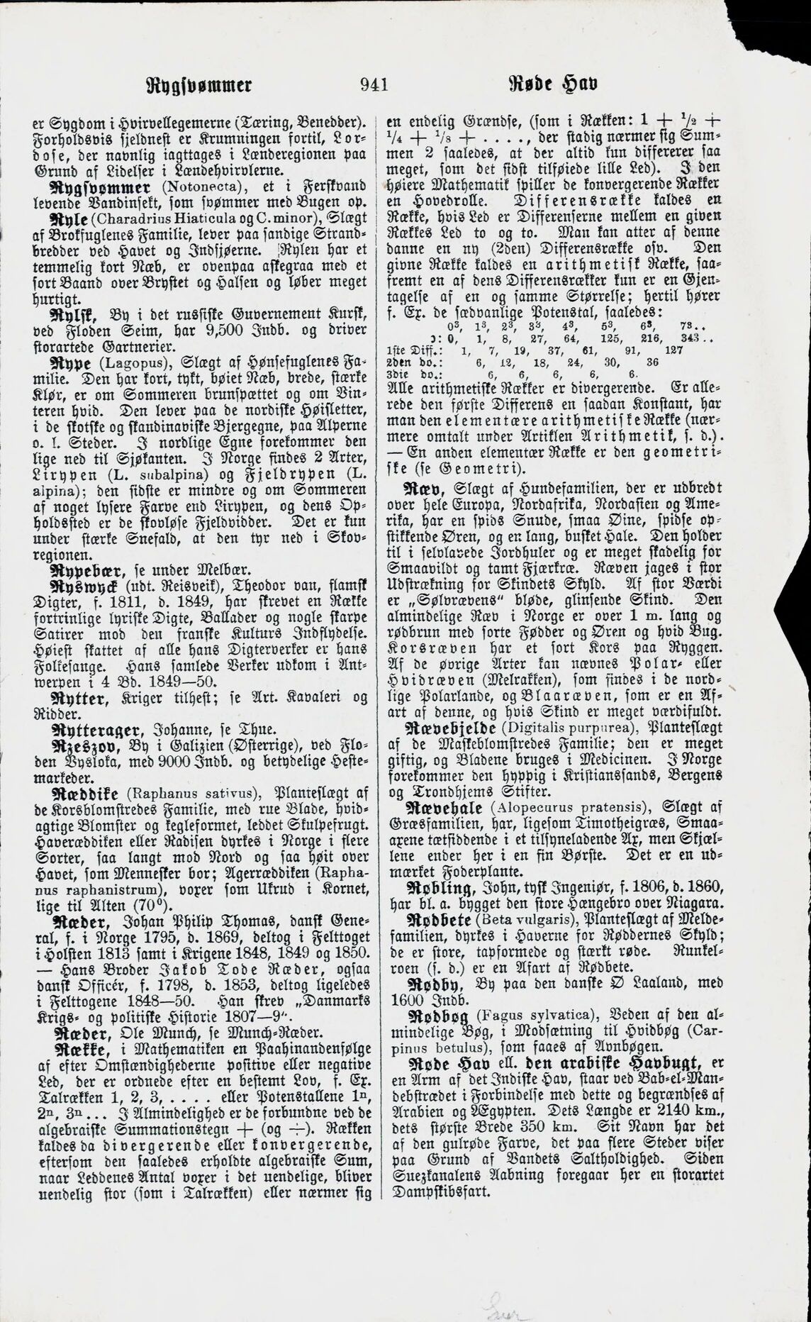 scanned image