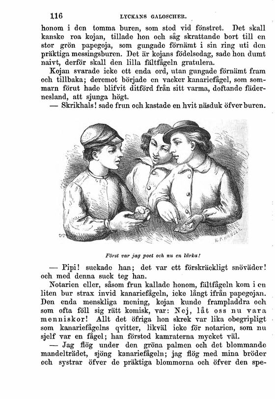scanned image