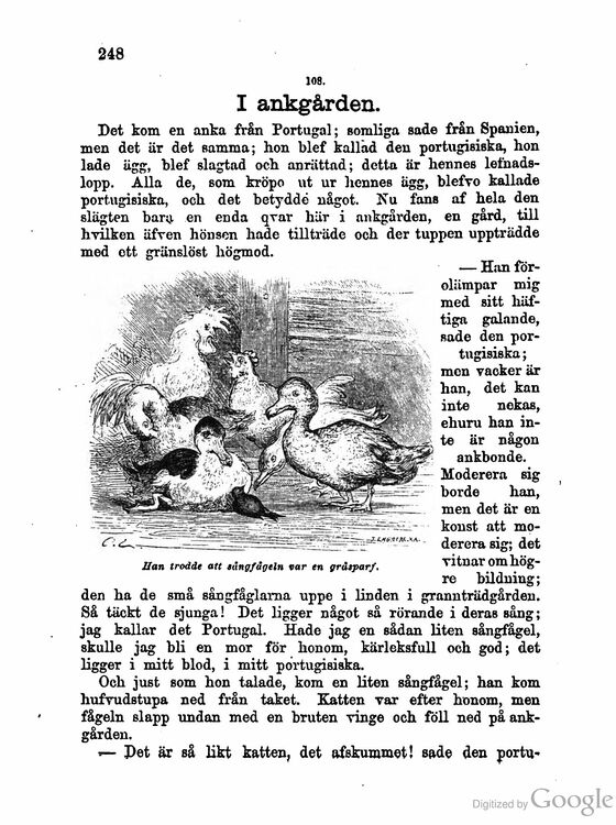 scanned image