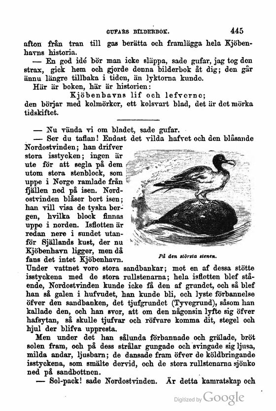 scanned image