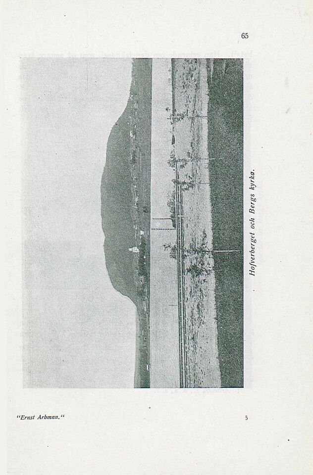 scanned image