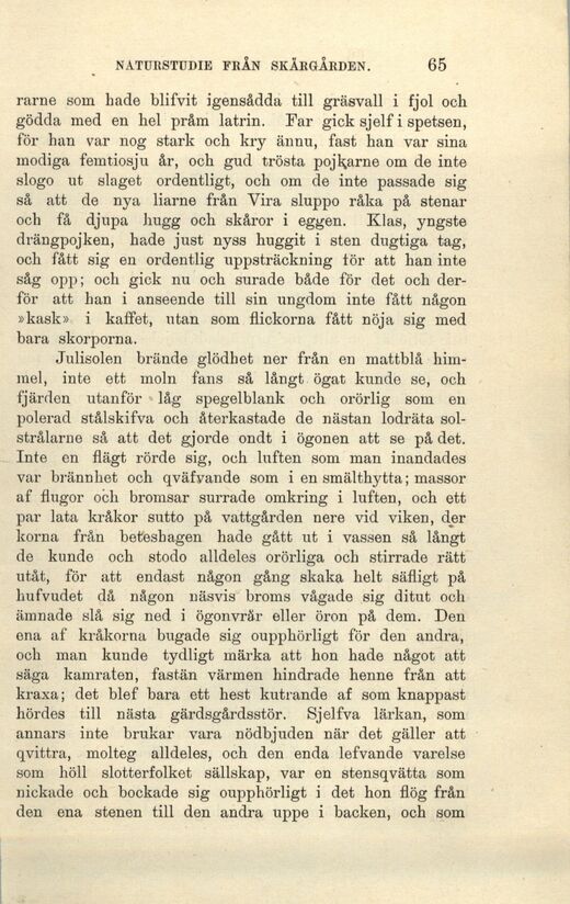scanned image
