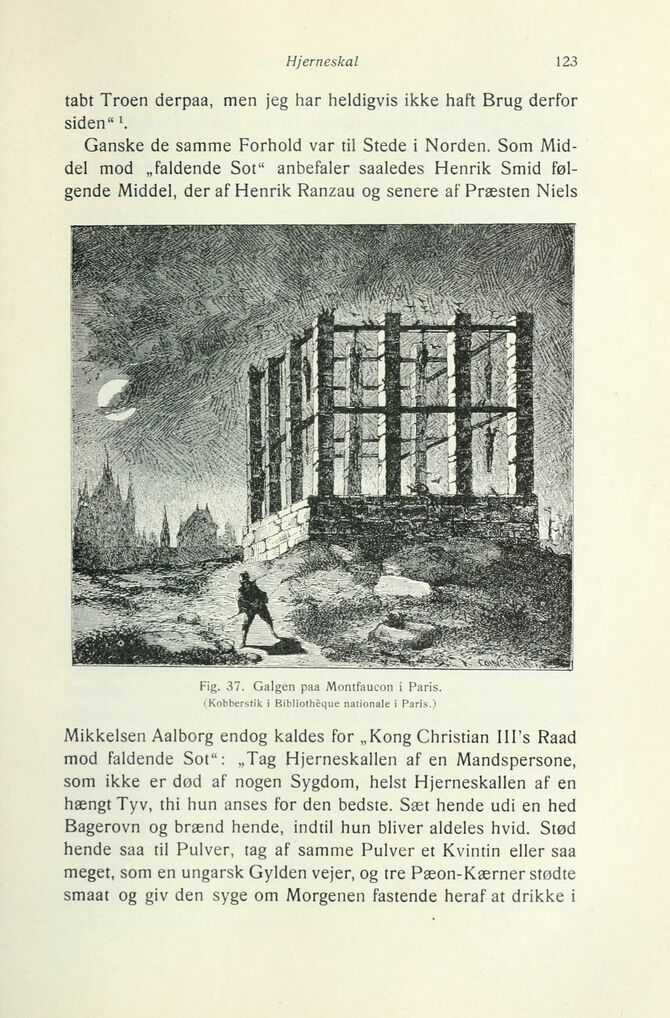 scanned image