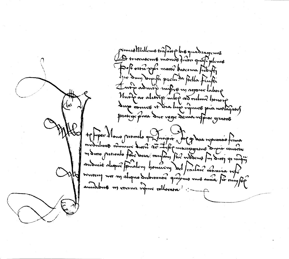 scanned image