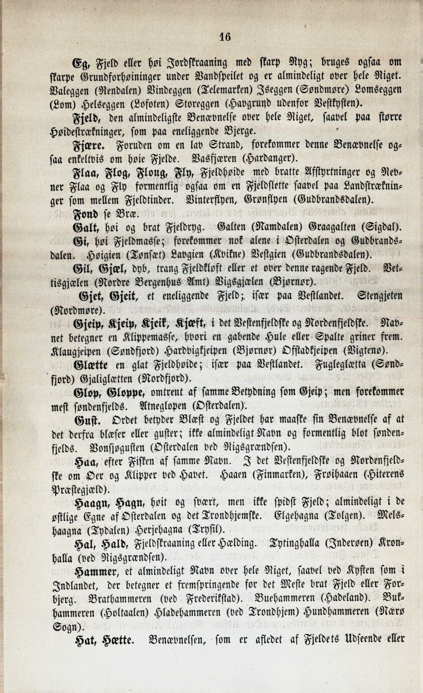 scanned image