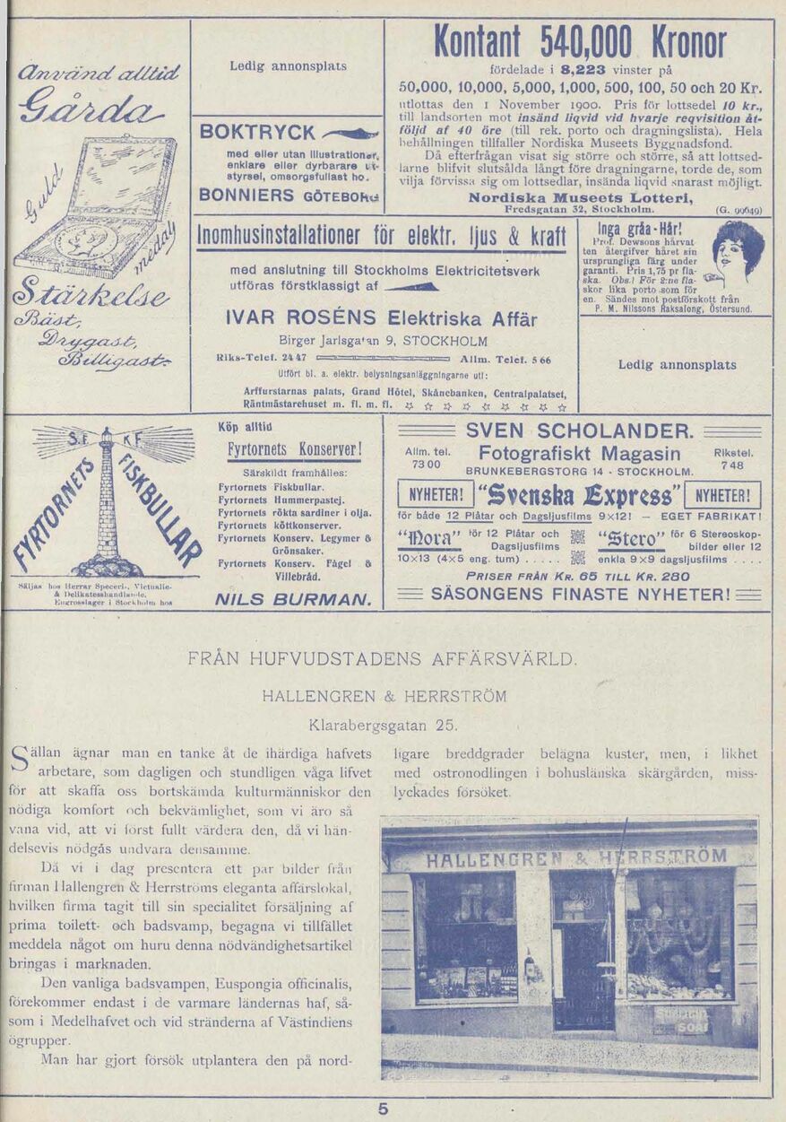 scanned image