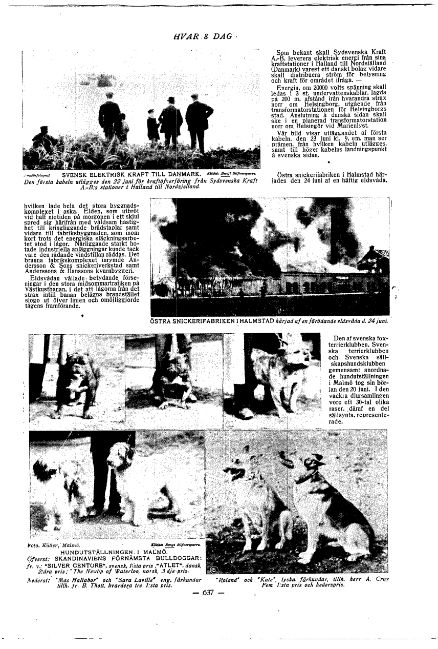 scanned image