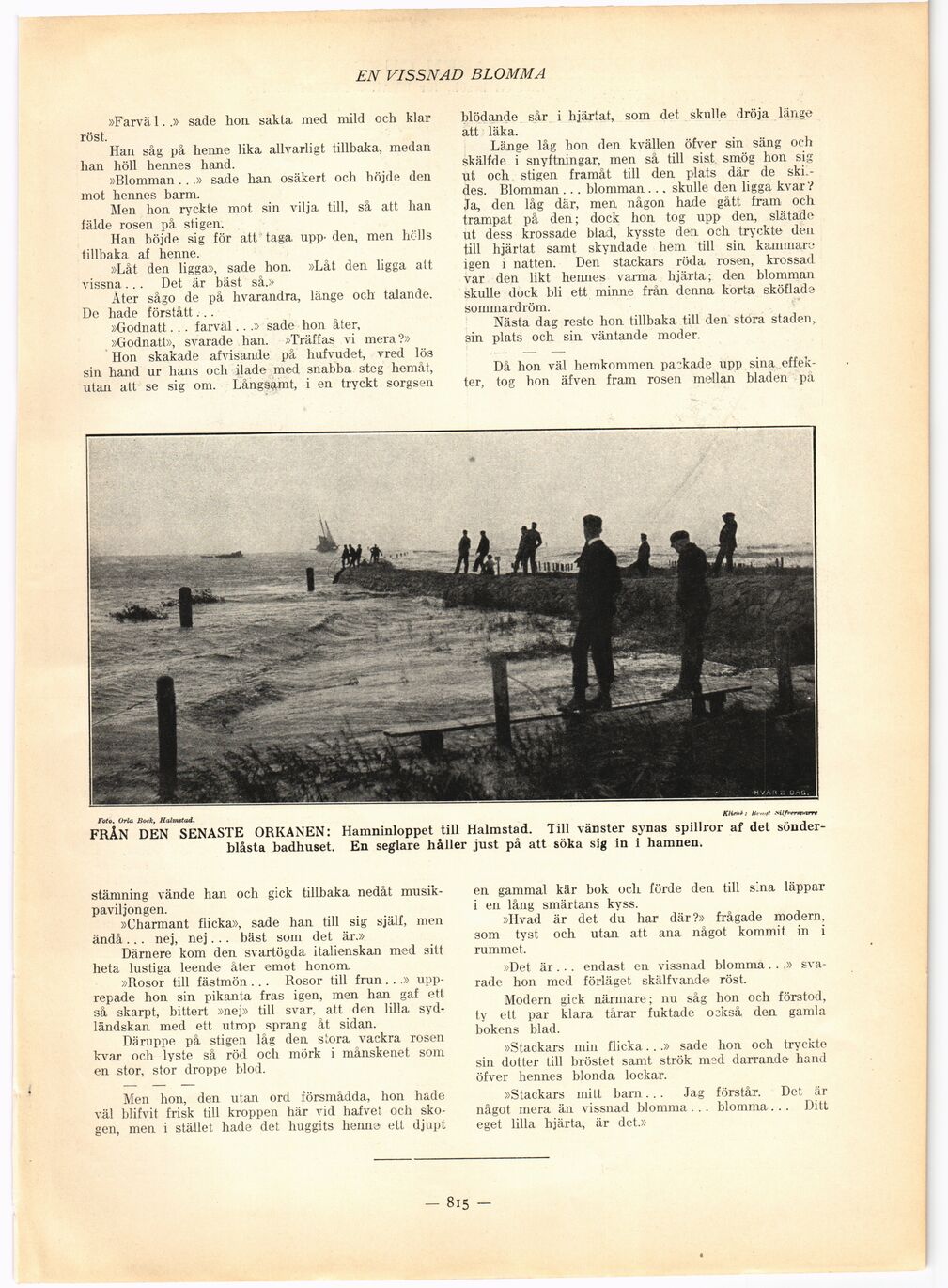 scanned image