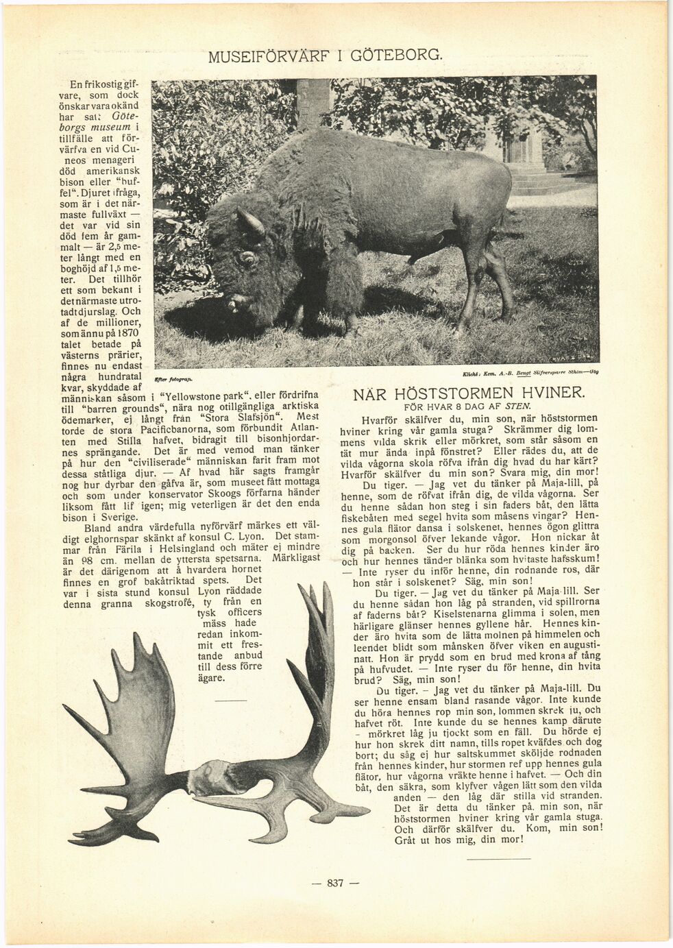 scanned image
