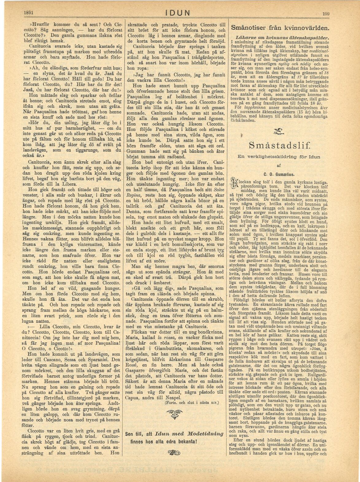 scanned image
