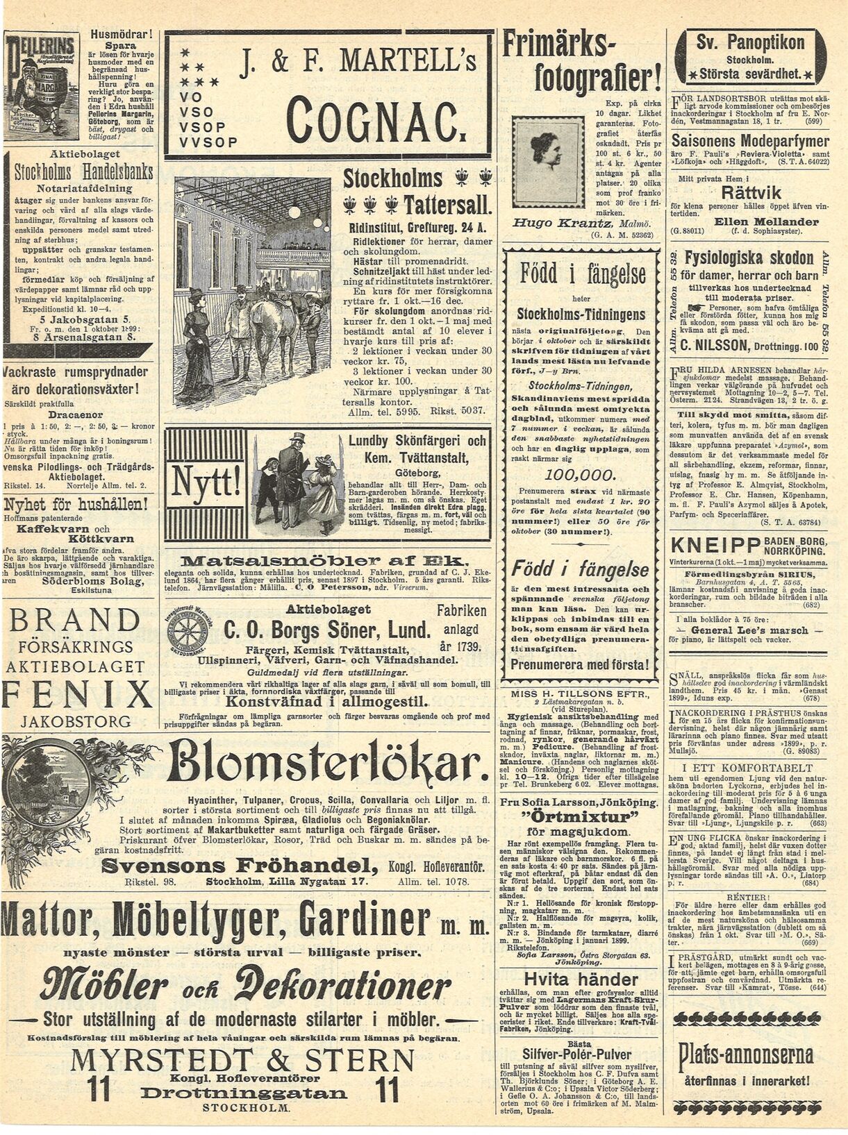 scanned image