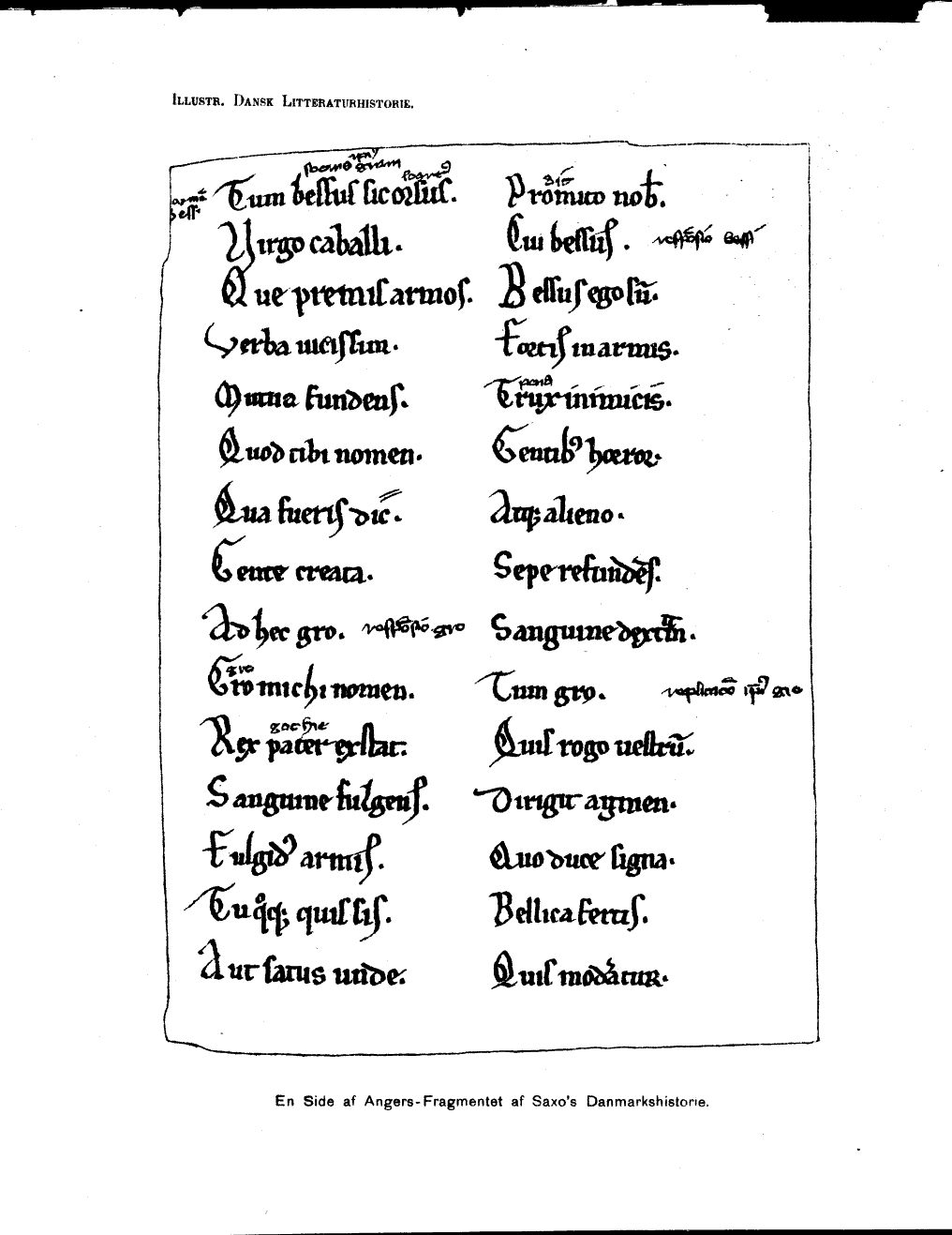 scanned image