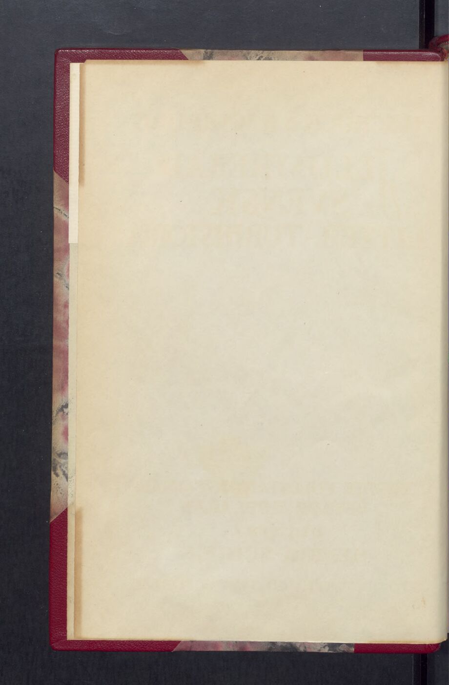 scanned image