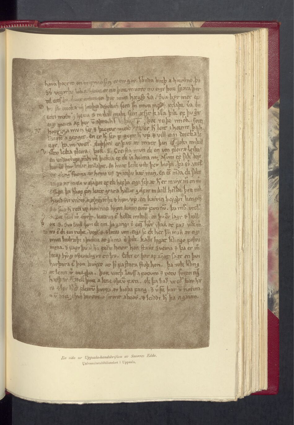 scanned image