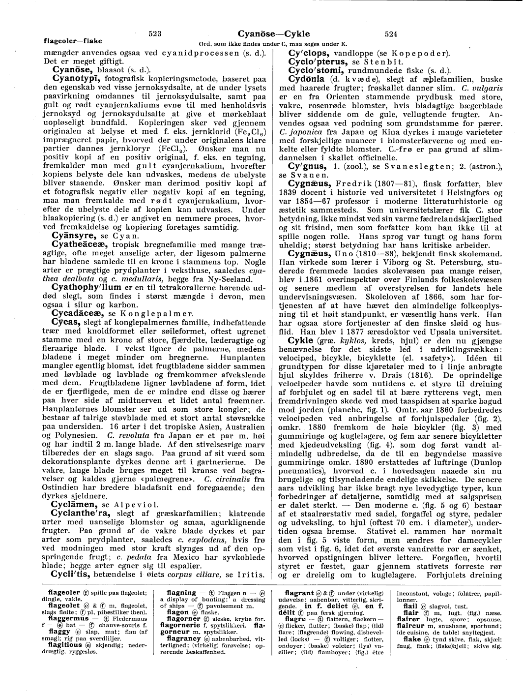 scanned image