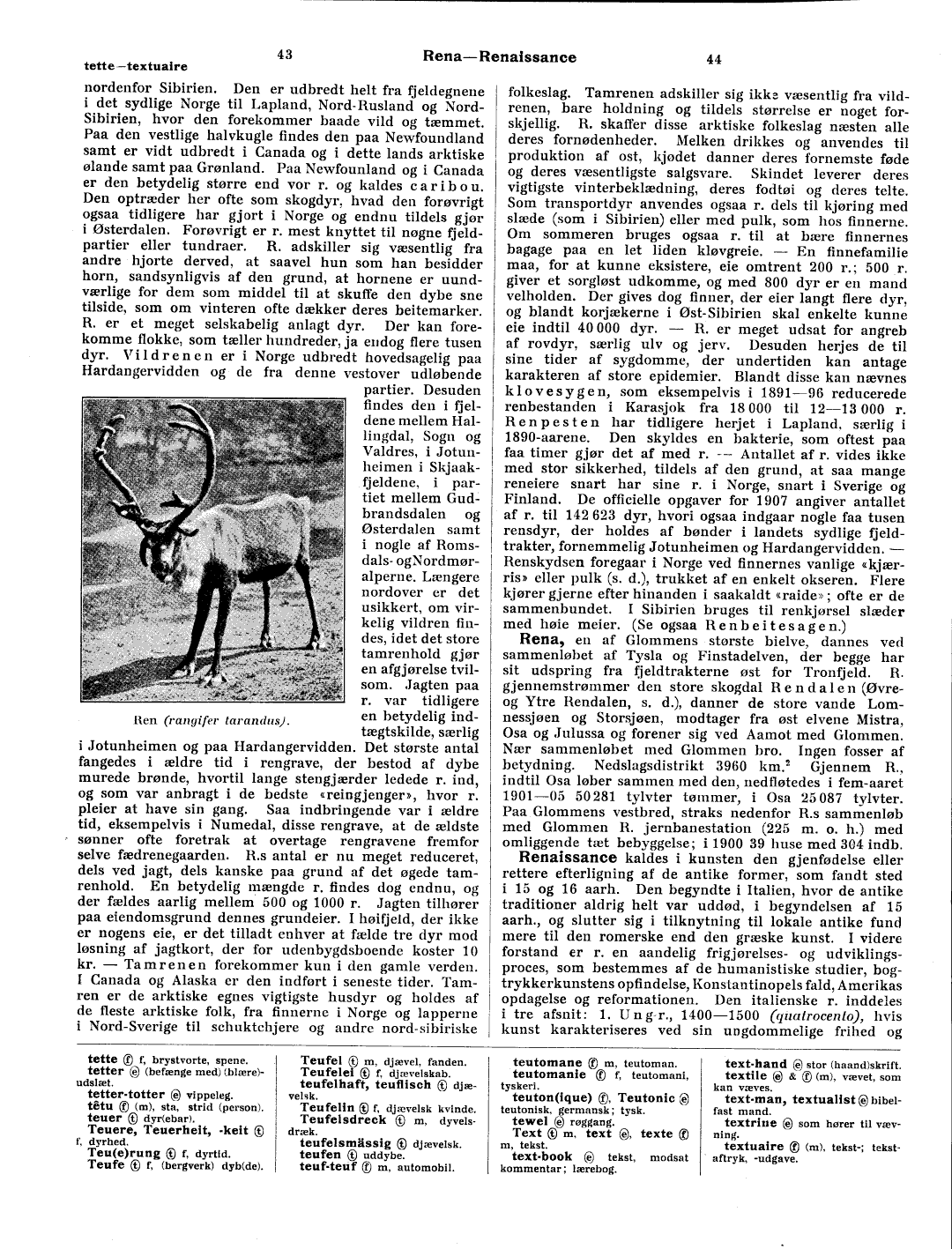 scanned image