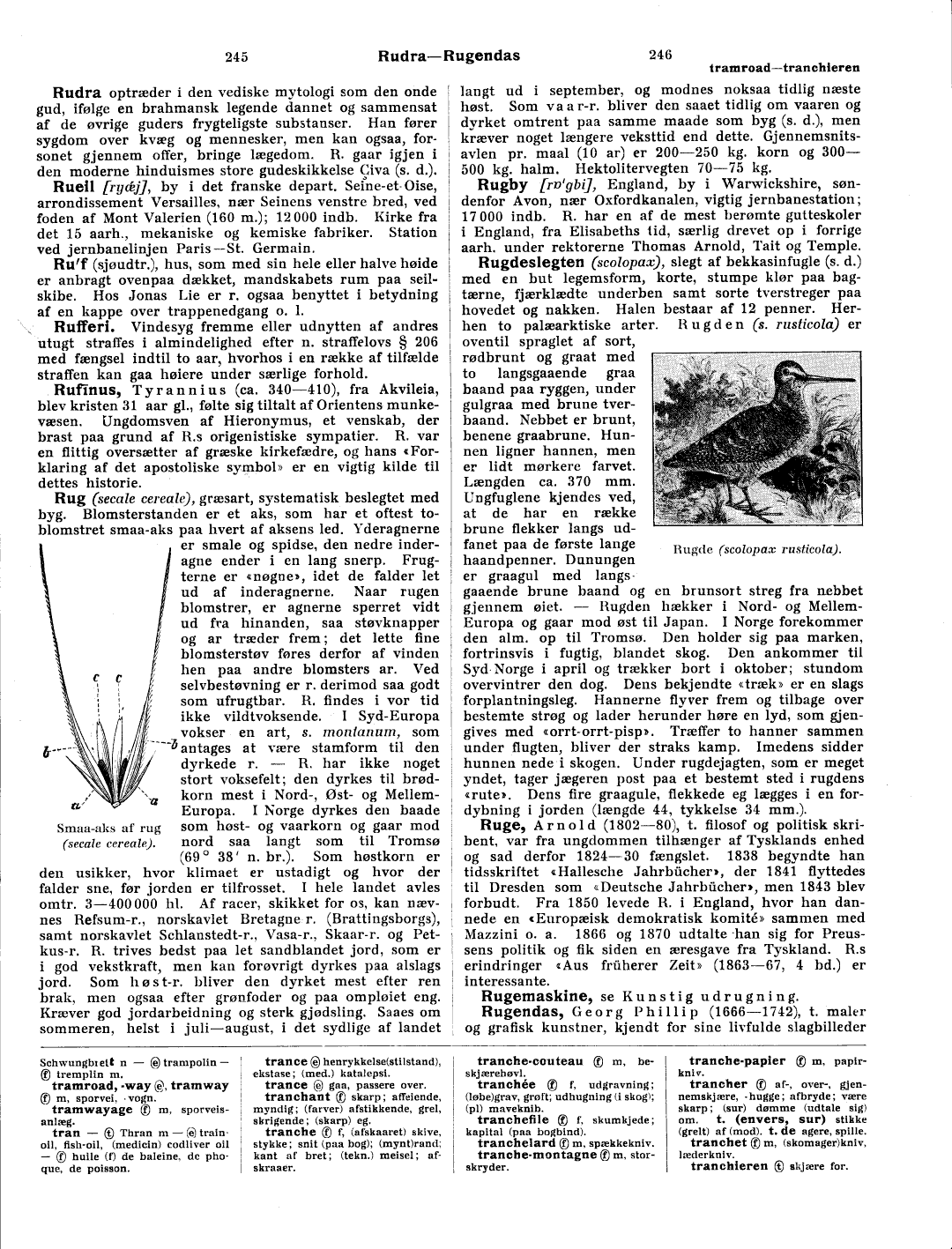 scanned image