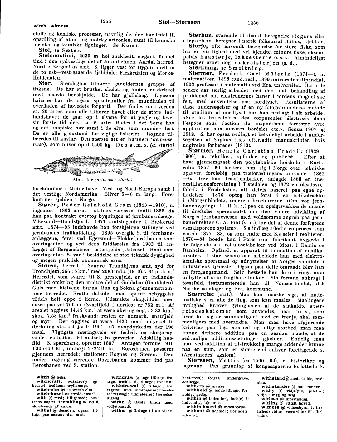 scanned image