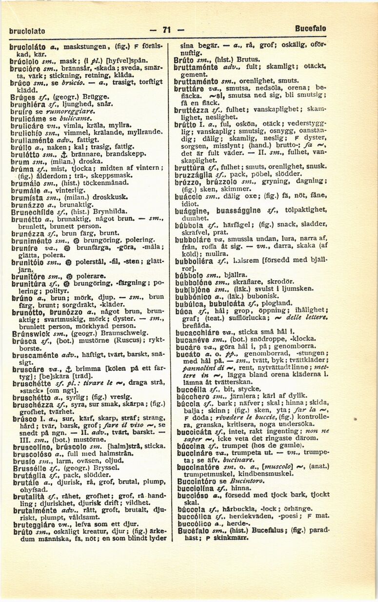 scanned image