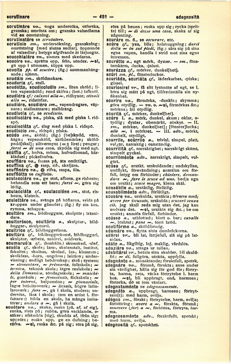 scanned image
