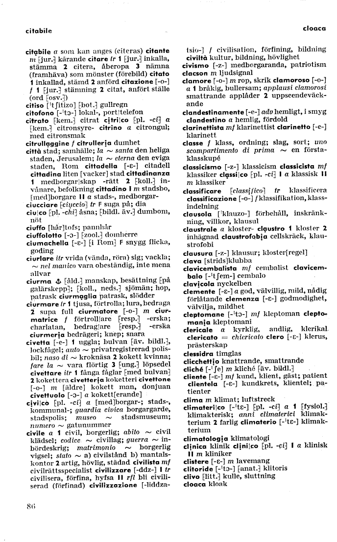scanned image