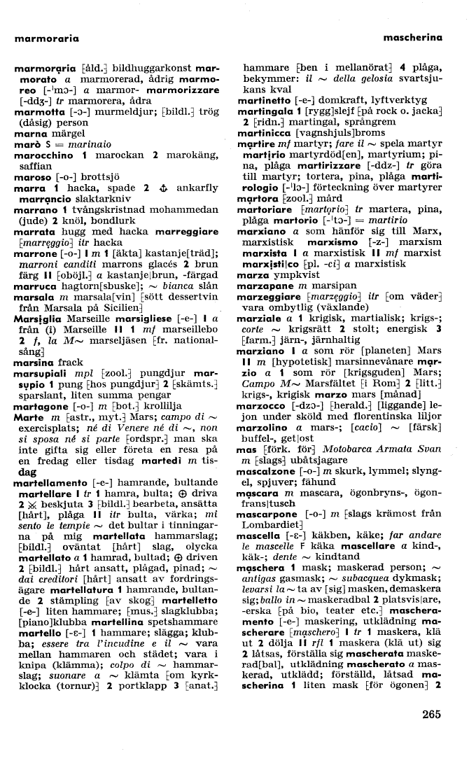 scanned image