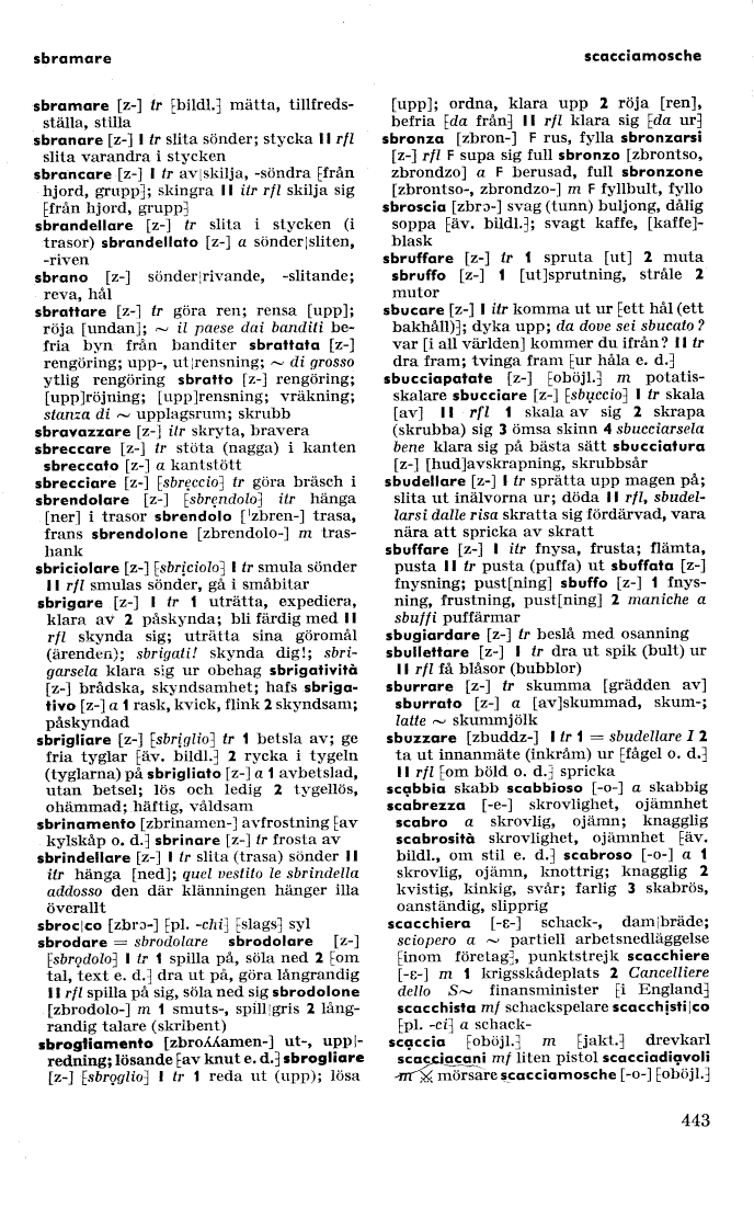 scanned image