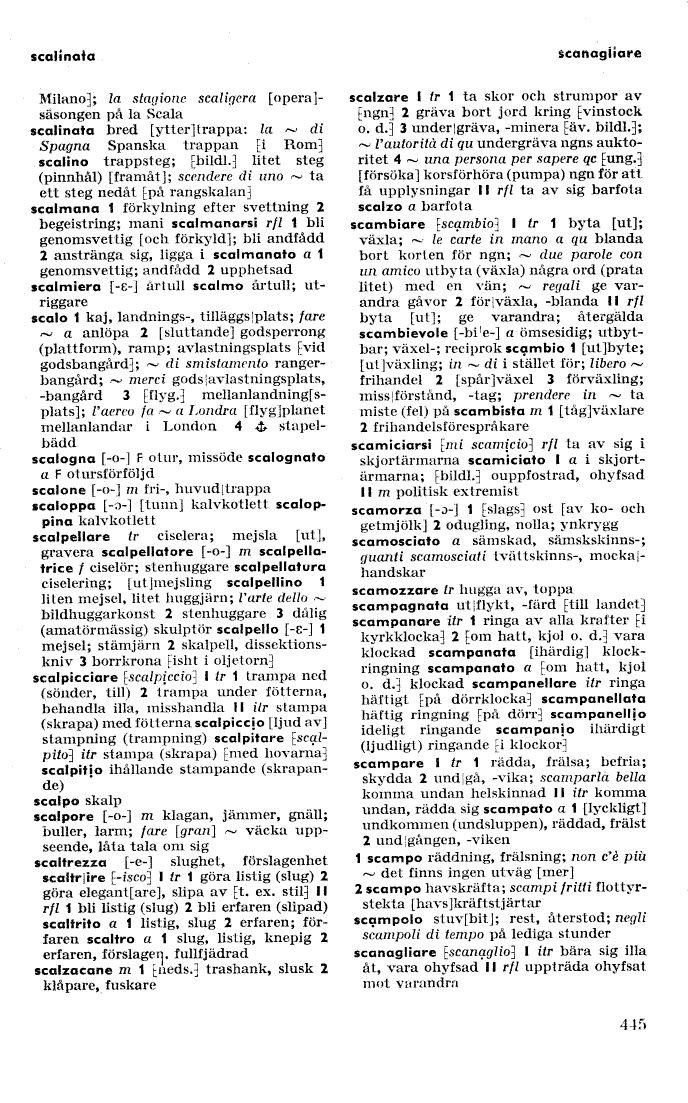scanned image