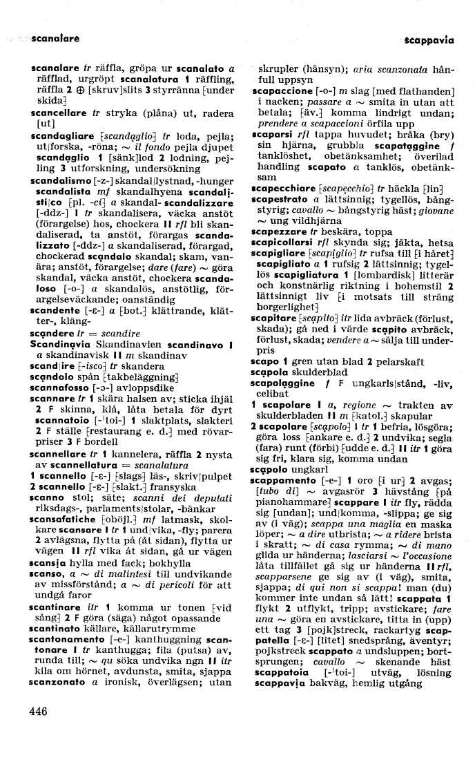 scanned image