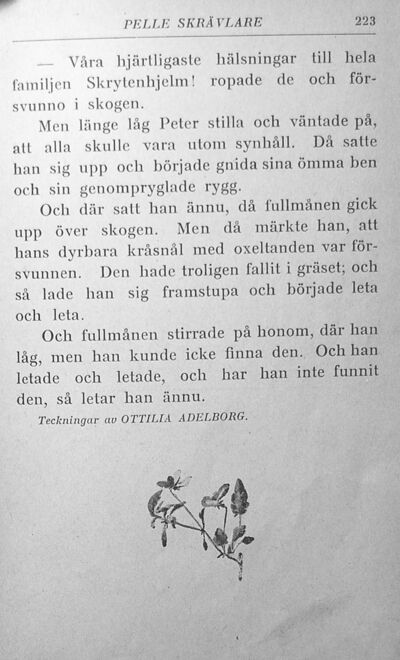 scanned image