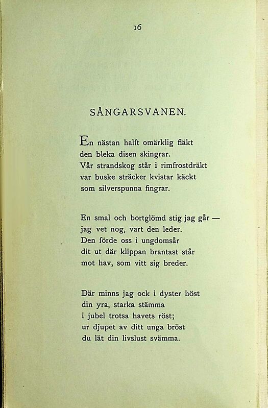 scanned image