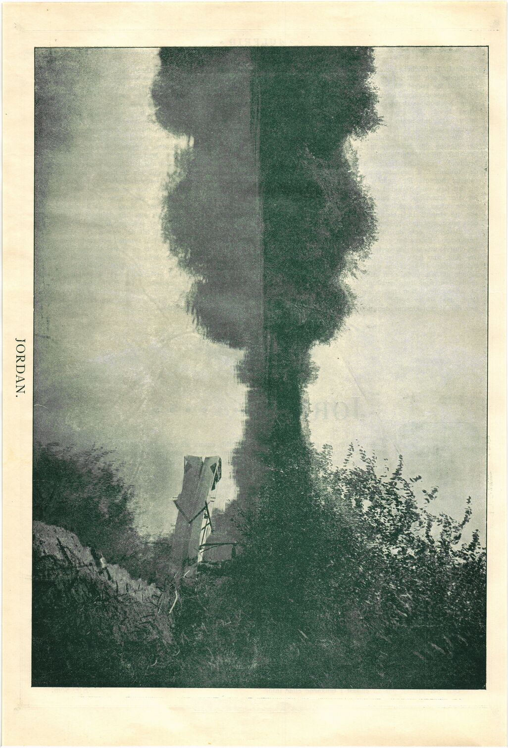 scanned image