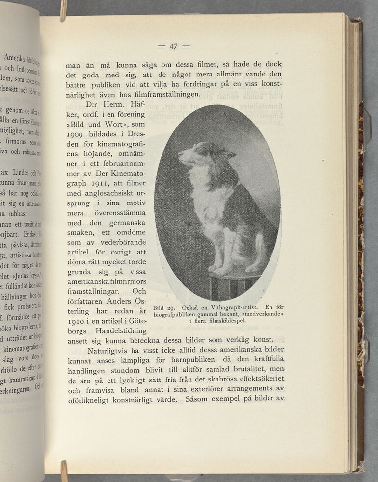 scanned image