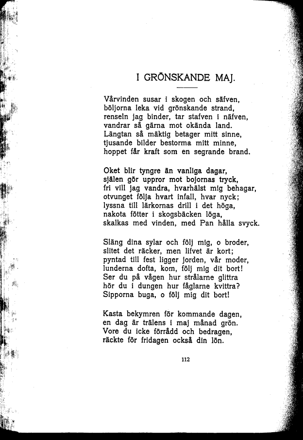 scanned image