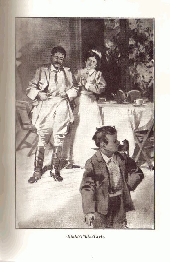 scanned image