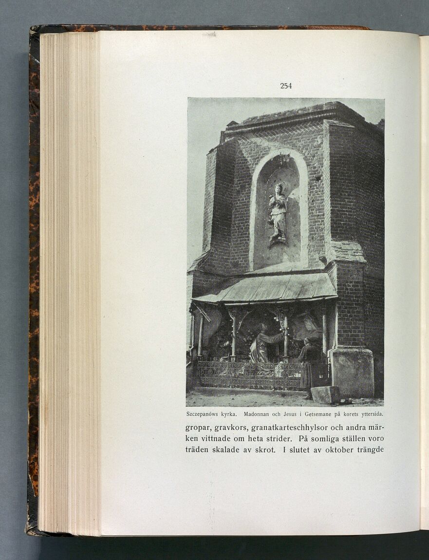 scanned image