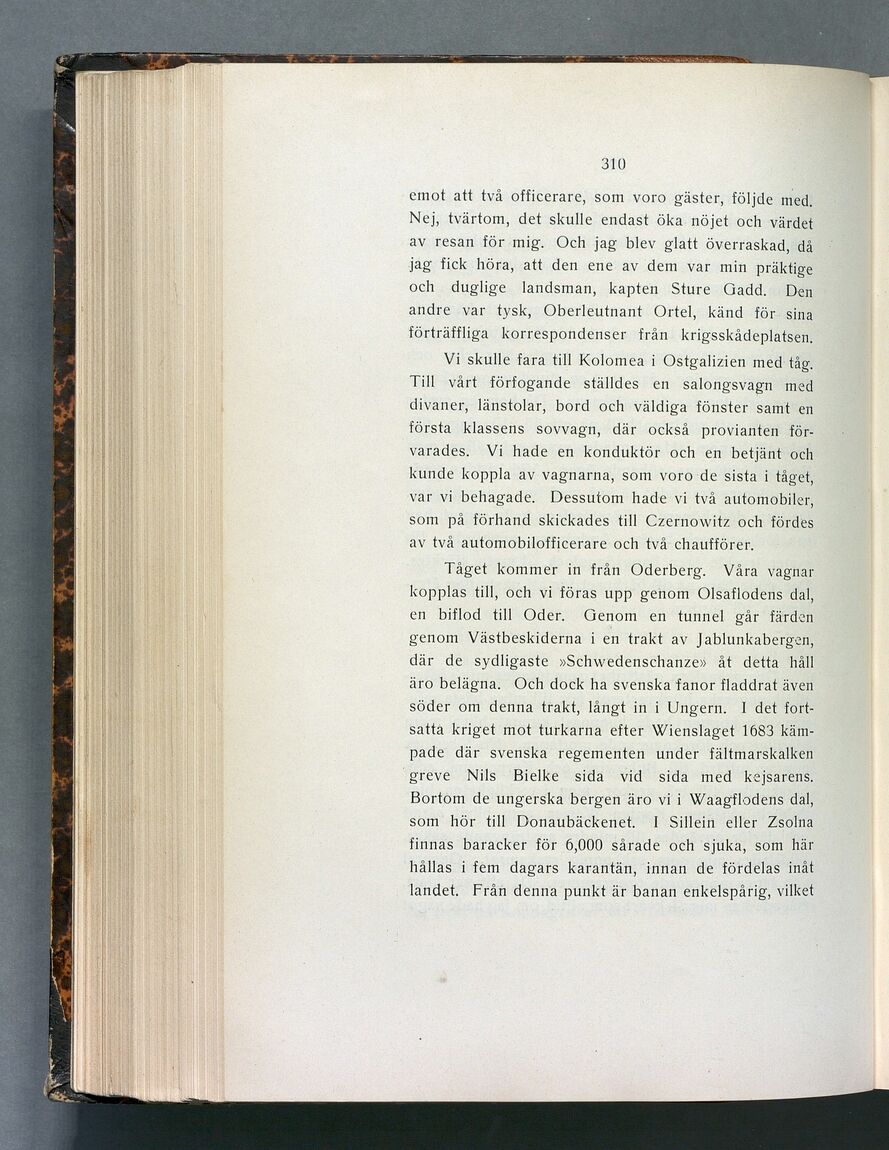 scanned image