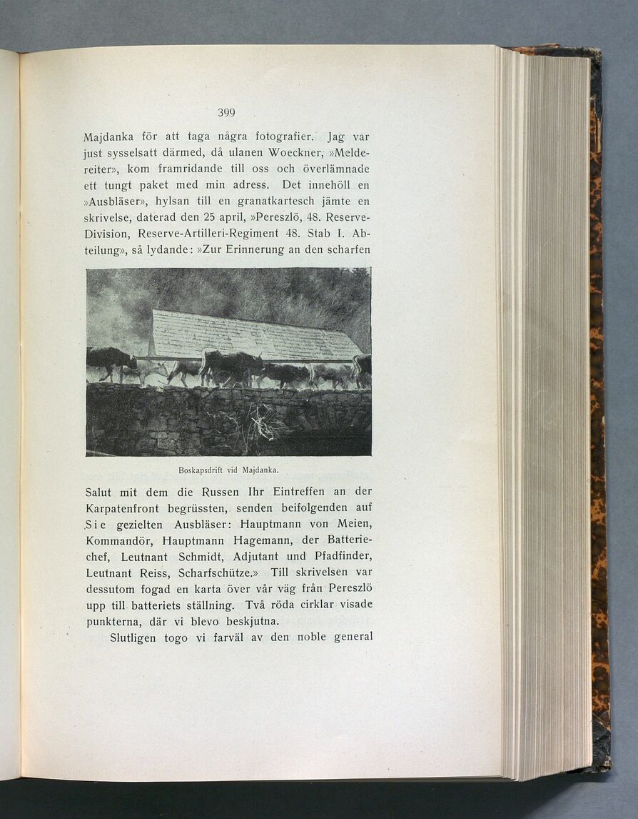 scanned image